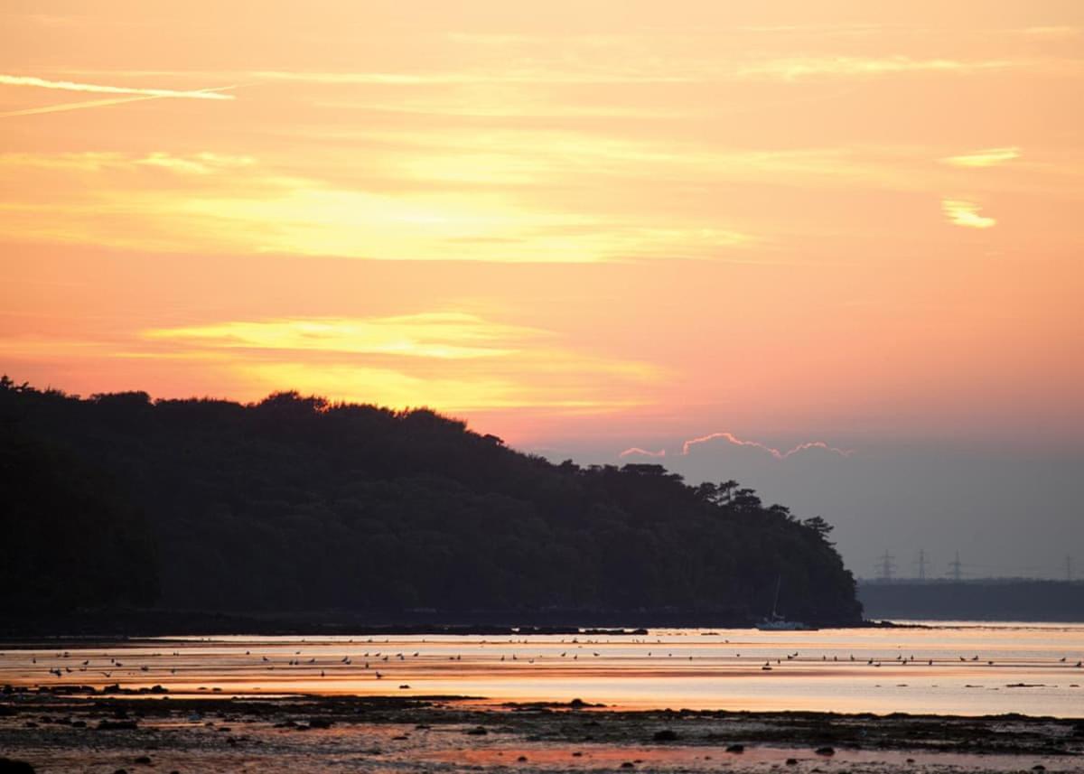 Hotel Woodside Coastal Retreat Fishbourne  Exterior foto